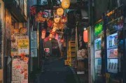 一文读懂P站入口趋势前瞻：重塑指南（深度）
